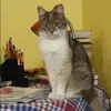 Отзыв от Диана Белоусова